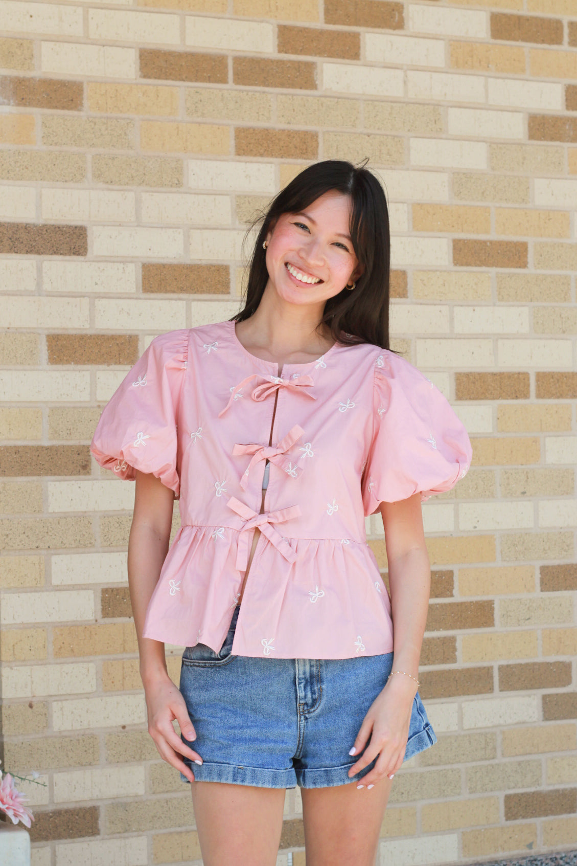 Bow Embroidered Puff Sleeve Top