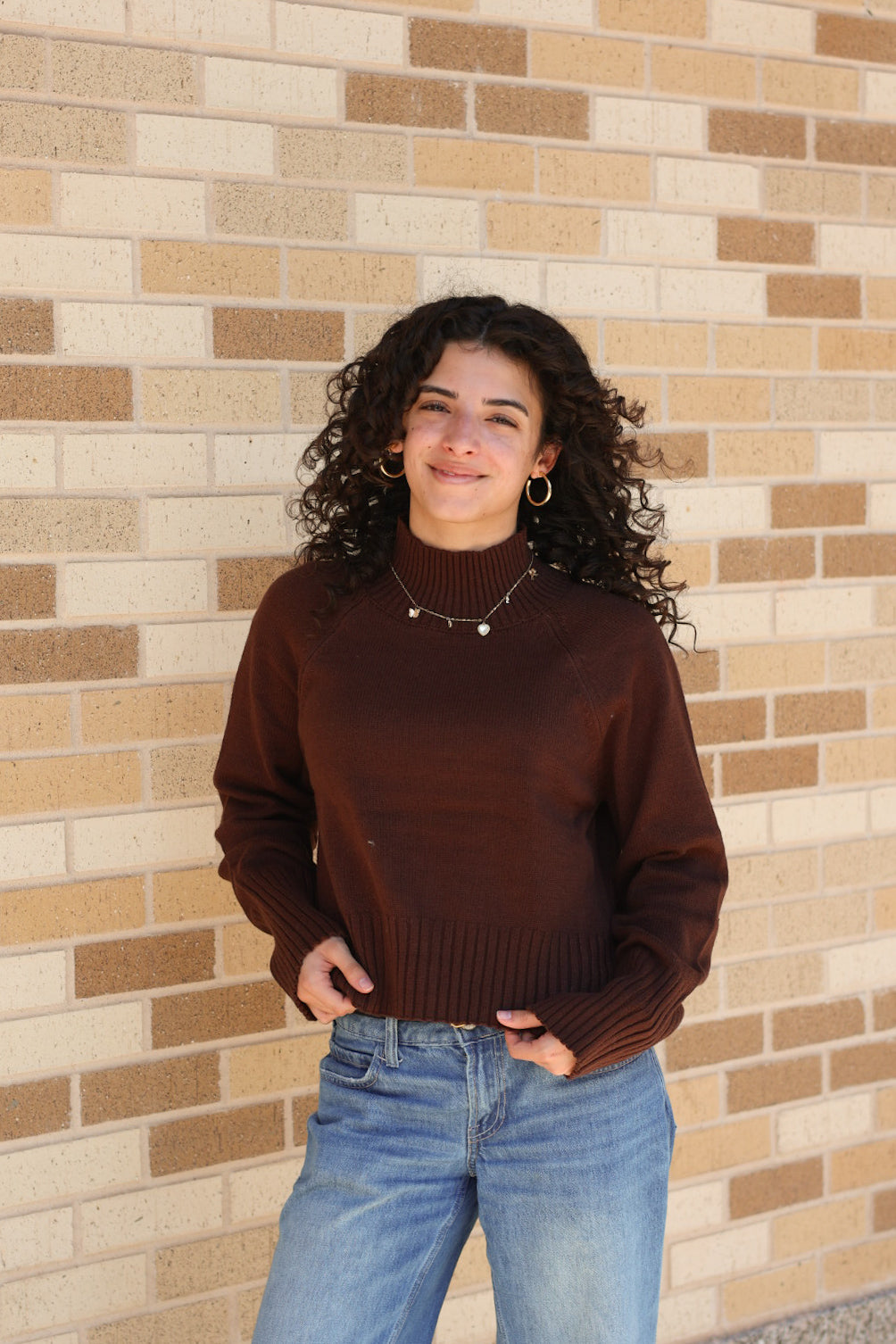 Brown Mock Neck Sweater