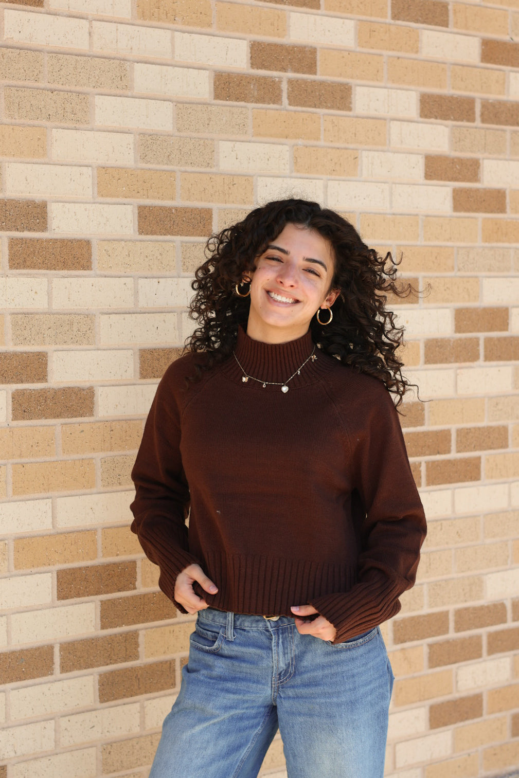Brown Mock Neck Sweater