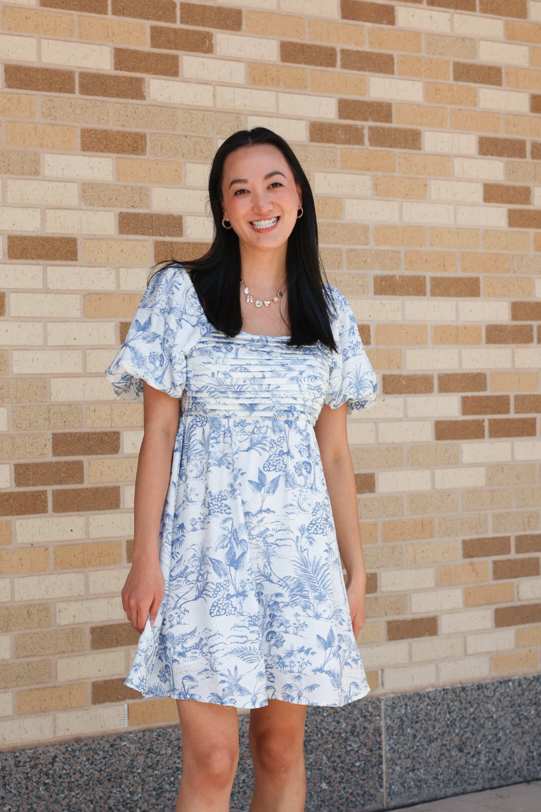 Toile Puff Sleeve Dress