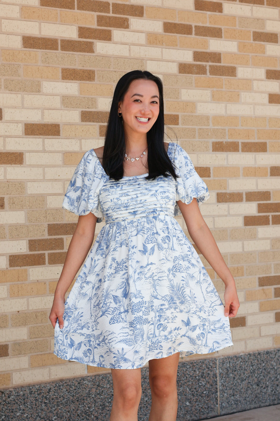 Toile Puff Sleeve Dress