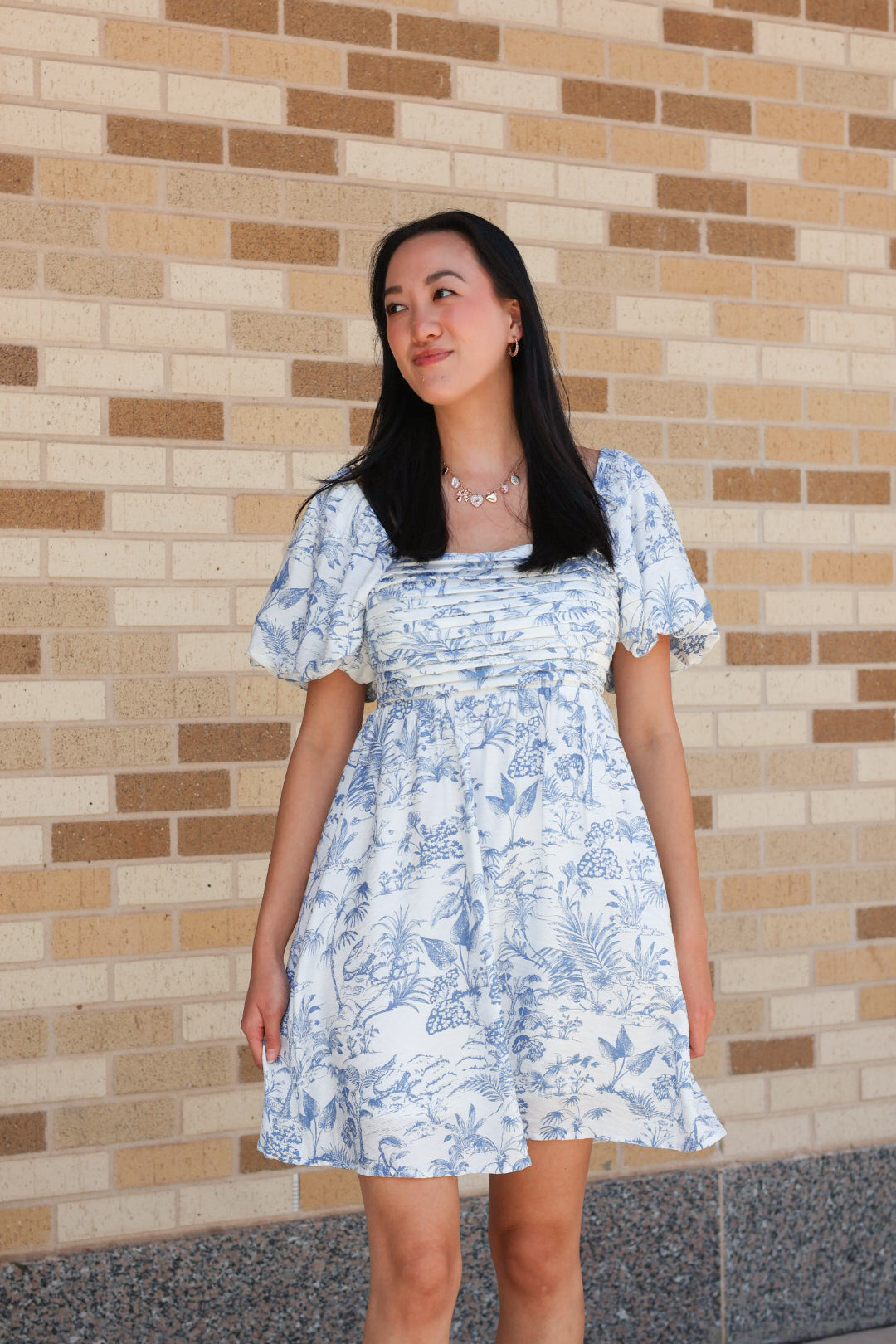 Toile Puff Sleeve Dress