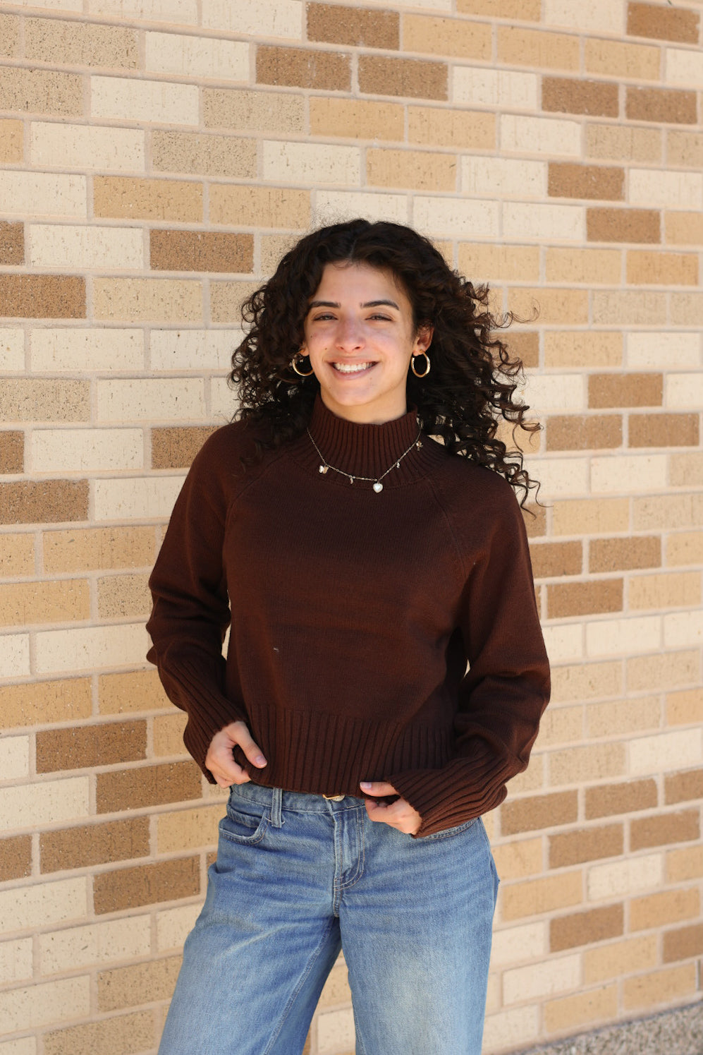 Brown Mock Neck Sweater