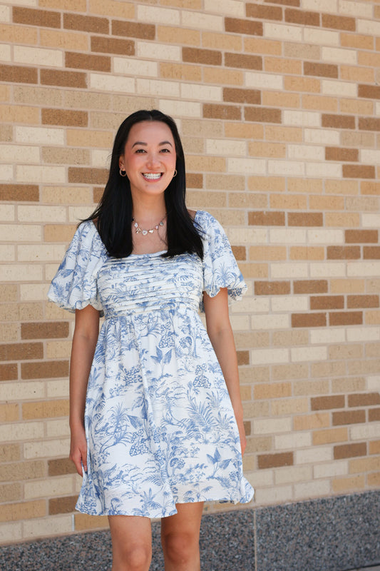 Toile Puff Sleeve Dress
