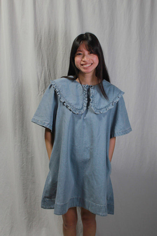 Denim Collar Dress