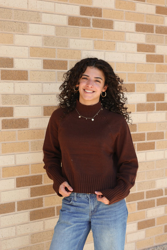 Brown Mock Neck Sweater